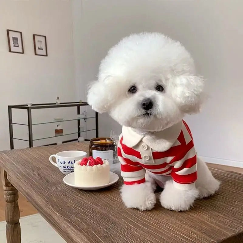 Striped Dog Polo Shirt – Cute Breathable Summer Pet Top