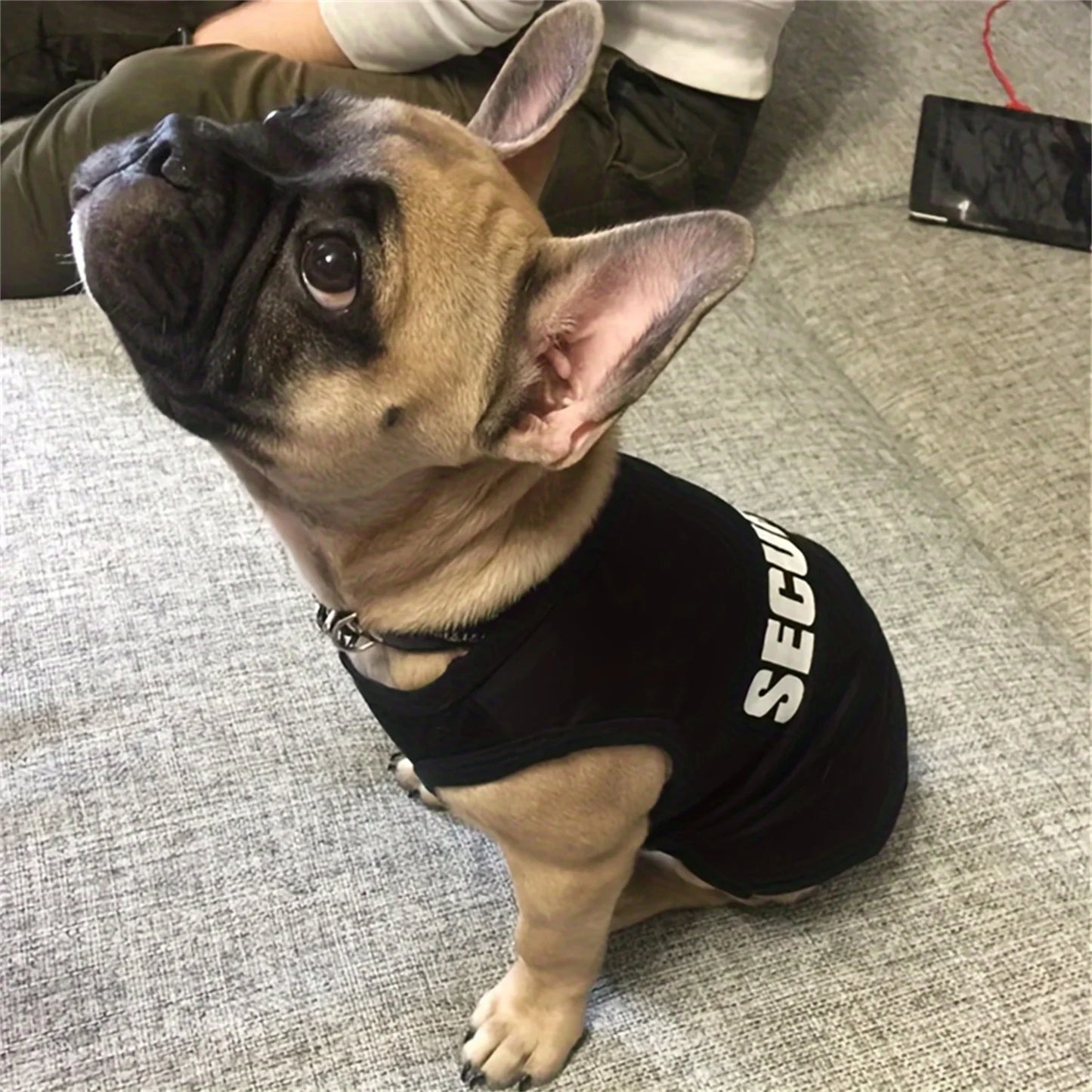 Security Vest T Shirt for Small Dogs Cats and Puppies