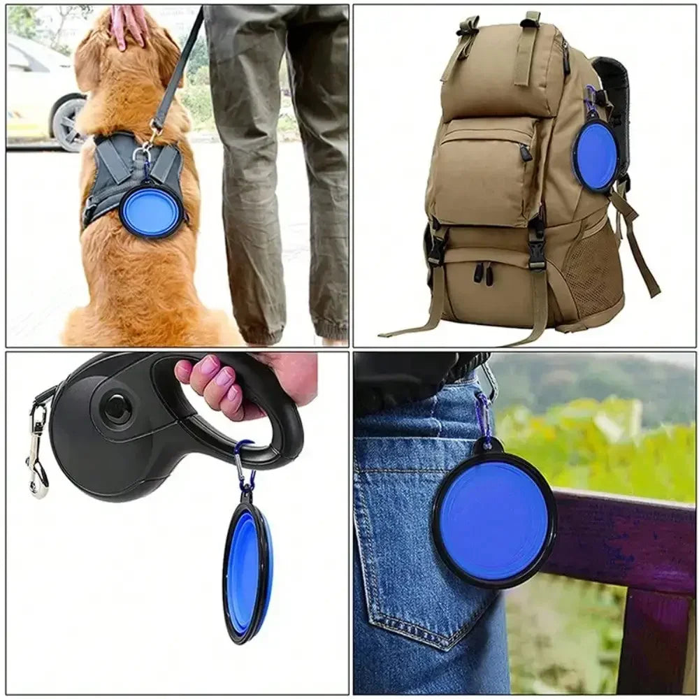 Collapsible Silicone Pet Bowl – Portable Travel Dish for Dogs & Cats