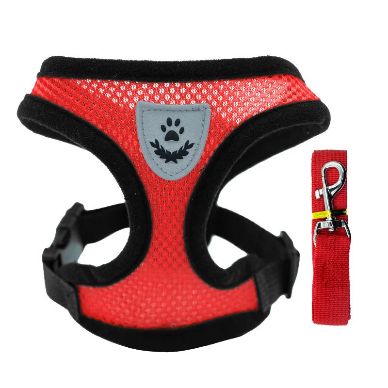 Mesh Dog Harness with Leash – Adjustable Breathable Vest