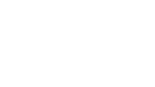 Couzys
