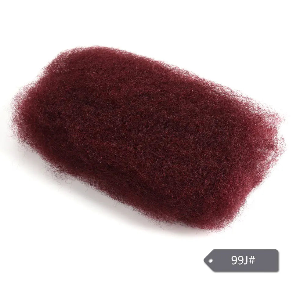 Afro Kinky Bulk Human Hair for Braiding & Dreadlocks – Remy