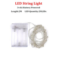 2M 20LEDs 1