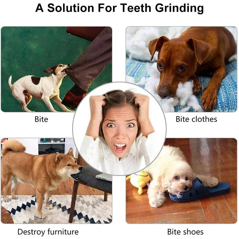 Dog Chew Toy Treat Feeder & Teeth Cleaning Ball