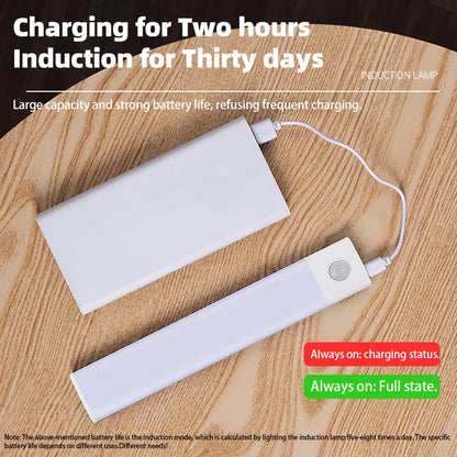 USB Rechargeable Motion Sensor LED Light – Cabinet & Wardrobe