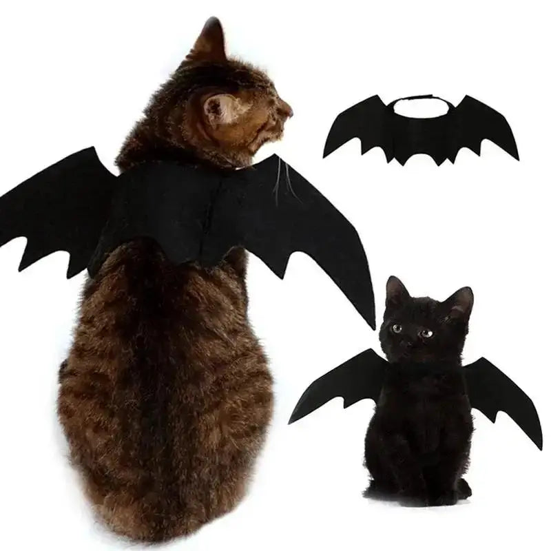 Black Bat Wings Halloween Costume for Cats and Small Dogs