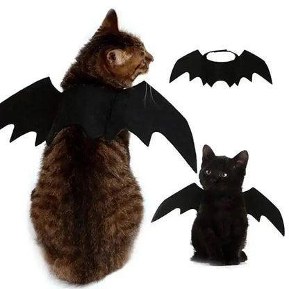 Black Bat Wings Halloween Costume for Cats and Small Dogs