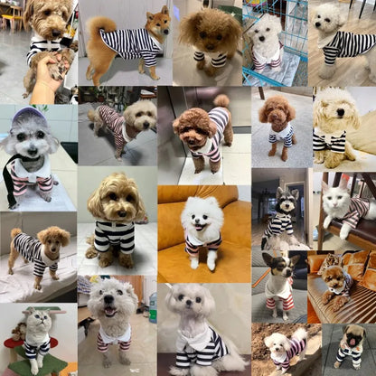 Striped Dog Polo Shirt – Cute Breathable Summer Pet Top