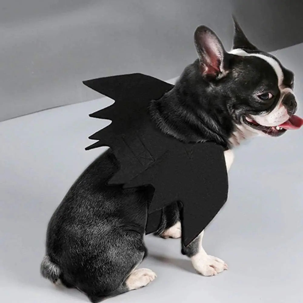 Black Bat Wings Halloween Costume for Cats and Small Dogs