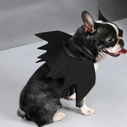 Black Bat Wings Halloween Costume for Cats and Small Dogs
