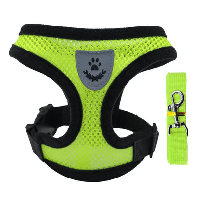 Mesh Dog Harness with Leash – Adjustable Breathable Vest
