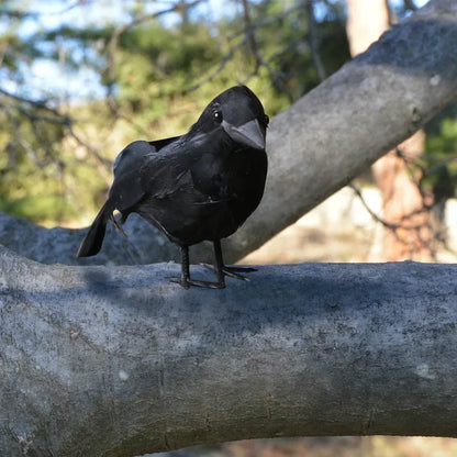 Realistic Artificial Crow Halloween Decoration – 1 or 3pcs