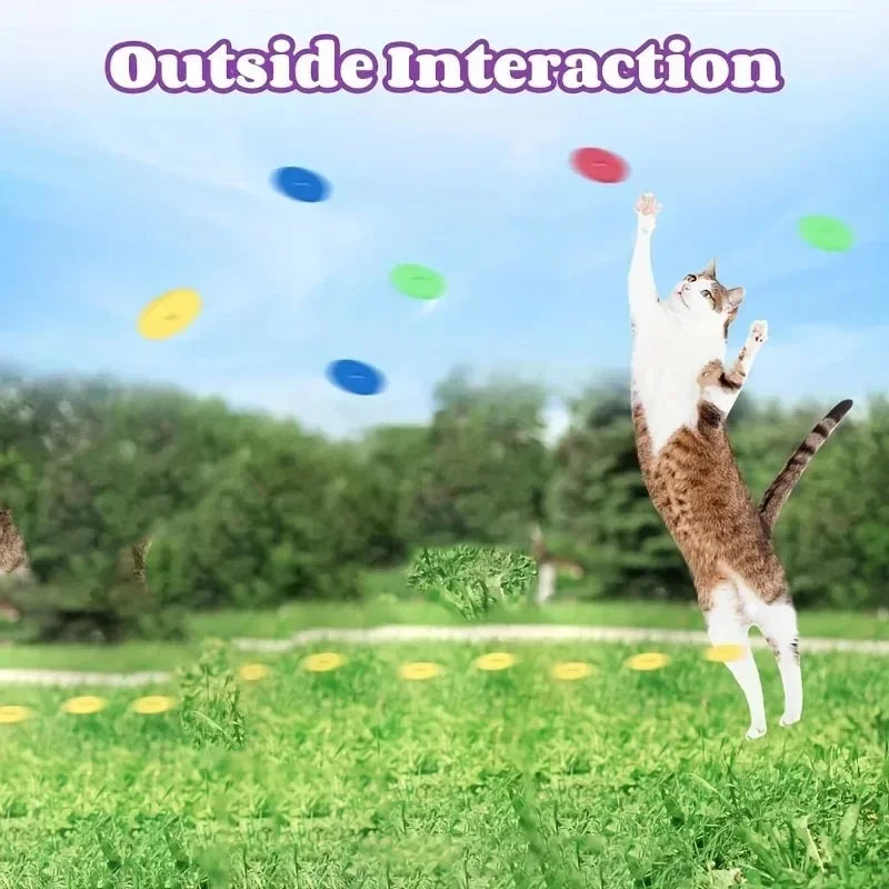 Interactive Foam Disc Launcher Pet Toy with 15 Frisbees