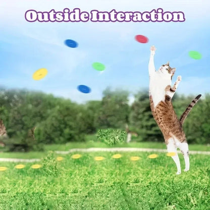Interactive Foam Disc Launcher Pet Toy with 15 Frisbees