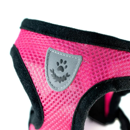 Mesh Dog Harness with Leash – Adjustable Breathable Vest
