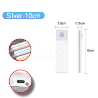 Silver-3.9in