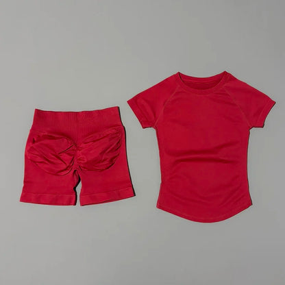 Seamless Workout Set Women 2 Piece – Top & Biker Shorts