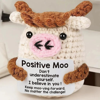 Crochet Pocket Hug Doll – Handmade Knitted Positive Energy Gift