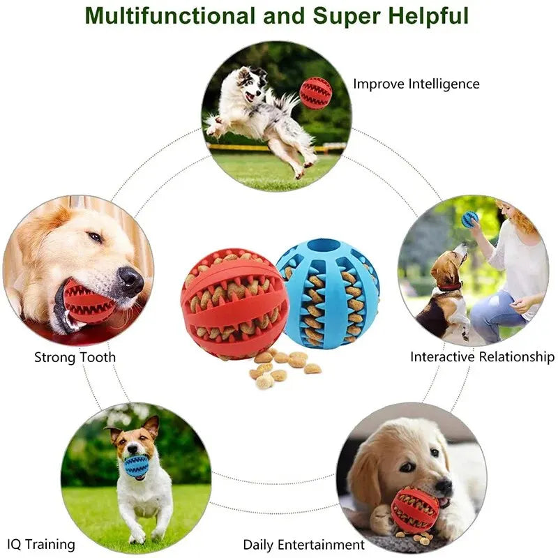 Dog Chew Toy Treat Feeder & Teeth Cleaning Ball