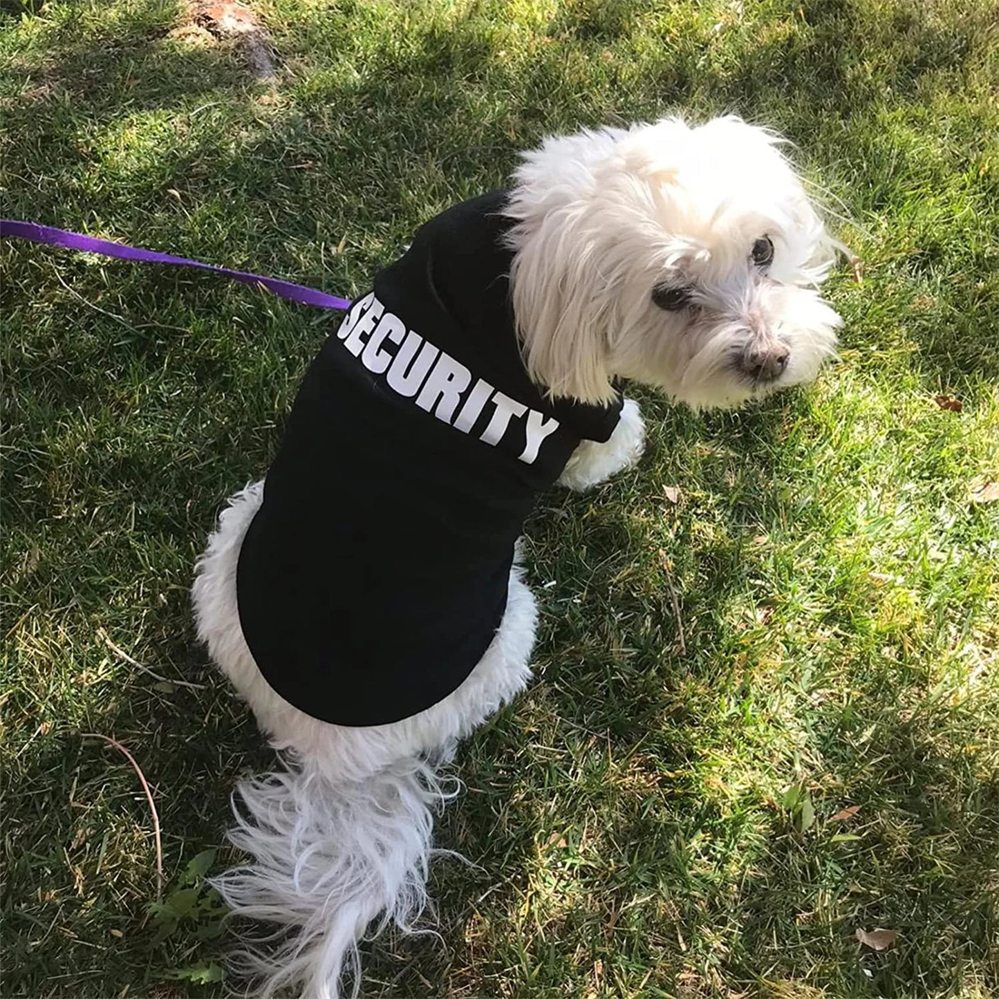 Security Vest T Shirt for Small Dogs Cats and Puppies