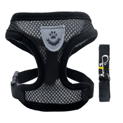 Mesh Dog Harness with Leash – Adjustable Breathable Vest