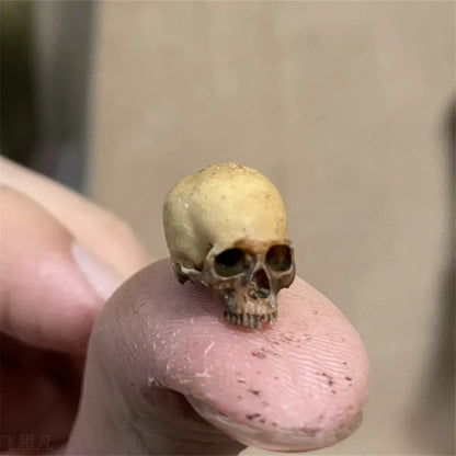 Mini Skull Figurine – Halloween Miniature Decor for Dollhouse, Fish Tank & Plants