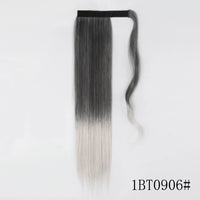 Si66 1bt0906