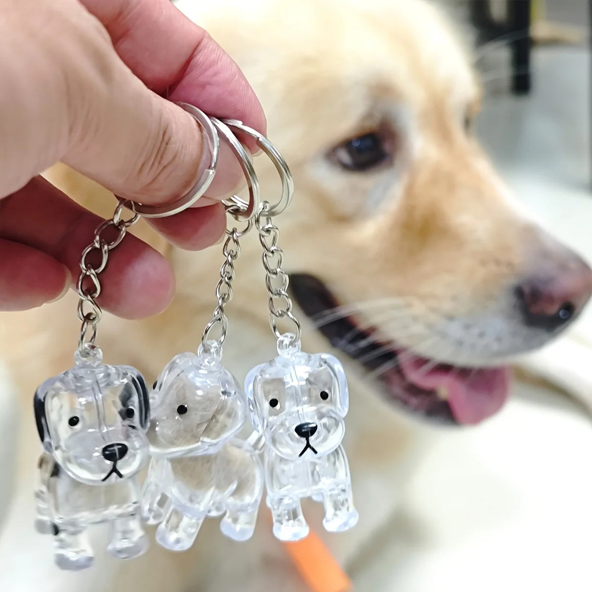 Pet Hair Memorial Keychain – Transparent Dog & Cat Pendant
