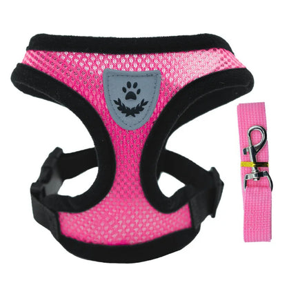 Mesh Dog Harness with Leash – Adjustable Breathable Vest