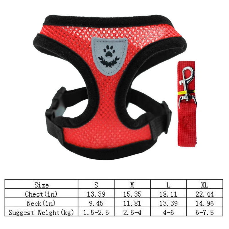 Mesh Dog Harness with Leash – Adjustable Breathable Vest