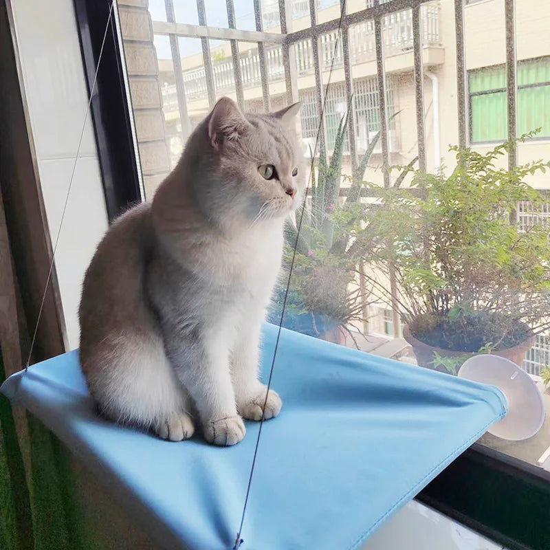 Cat Window Hammock Hanging Bed – Sunny Seat with 20kg Capacity