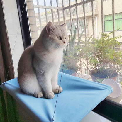Cat Window Hammock Hanging Bed – Sunny Seat with 20kg Capacity