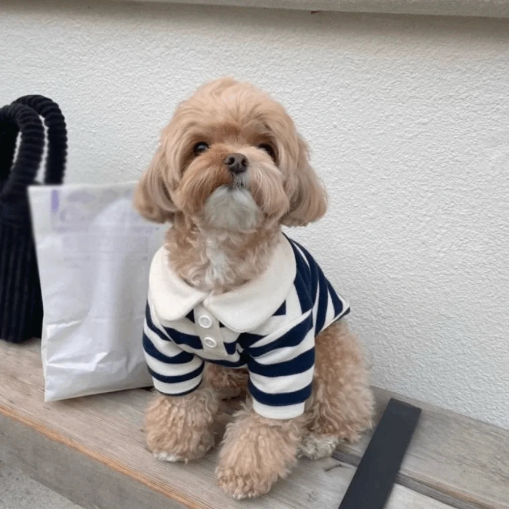 Striped Dog Shirt – Breathable Collared Polo for Small Dogs