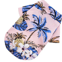 Pink Coconut tree