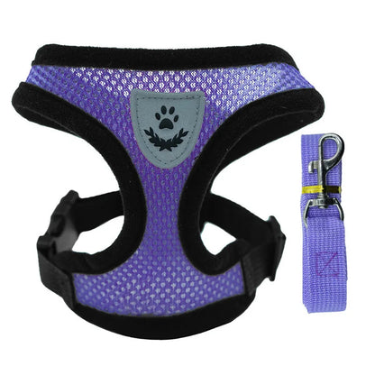 Mesh Dog Harness with Leash – Adjustable Breathable Vest