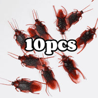 Cockroach 10pcs