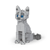 blue cat