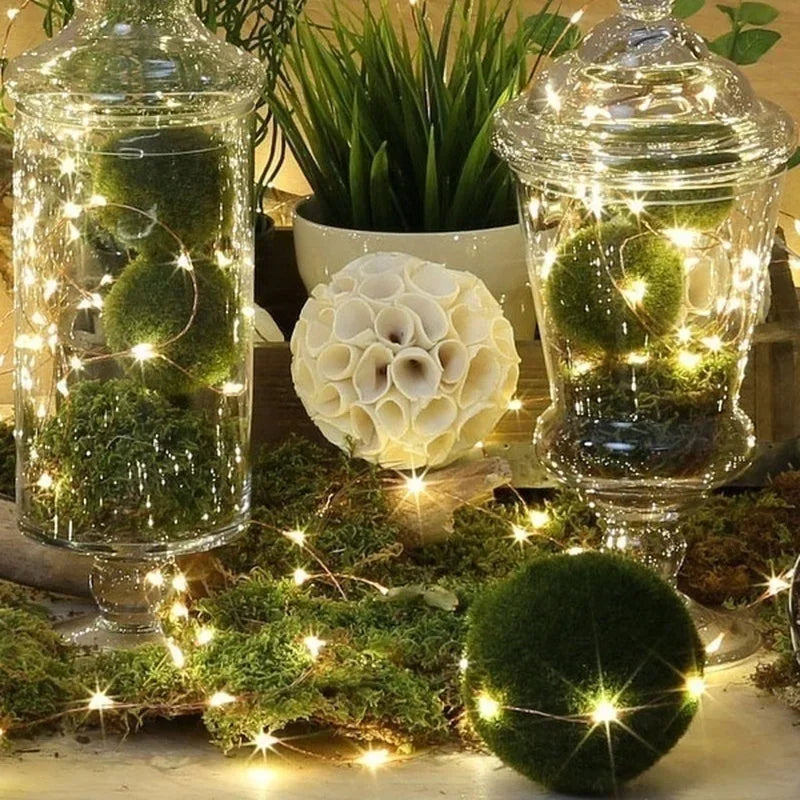 Battery-Powered Fairy String Lights for Home & Garden Decor