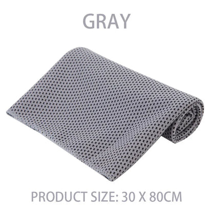 Microfiber Cooling Towel with Carabiner Case – Quick Dry Ice Towel for Sports & Outdoor