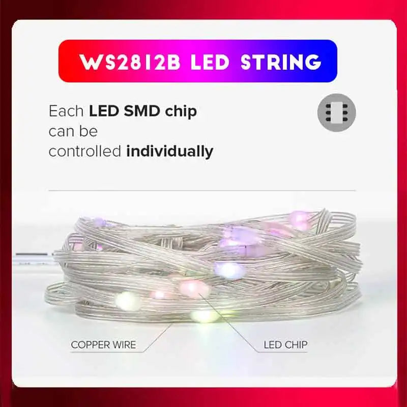 RGBIC Addressable Fairy Lights – Bluetooth App & Music Sync, 5M–20M
