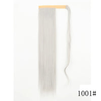 Si66 1001A