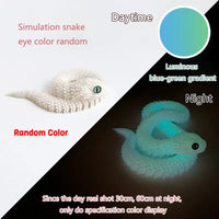 random color