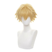 Wig