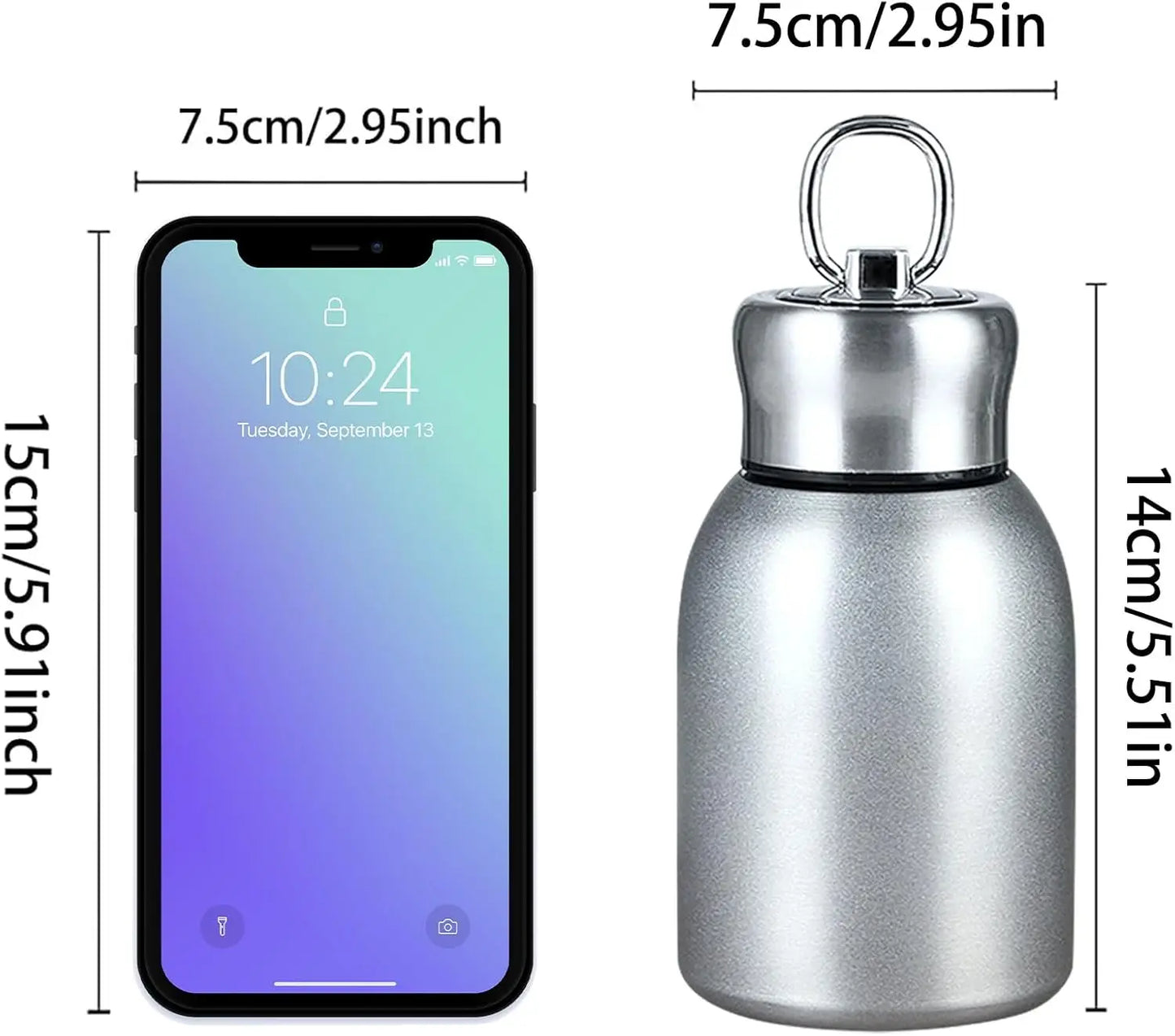 Mini Vacuum Insulated Water Bottle 10oz – Stainless Steel Travel Thermos