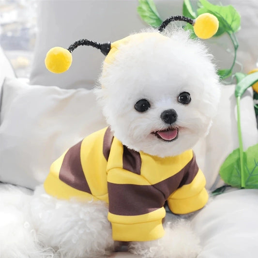 Bee Halloween Hoodie Costume for Small Medium Dogs and Cats