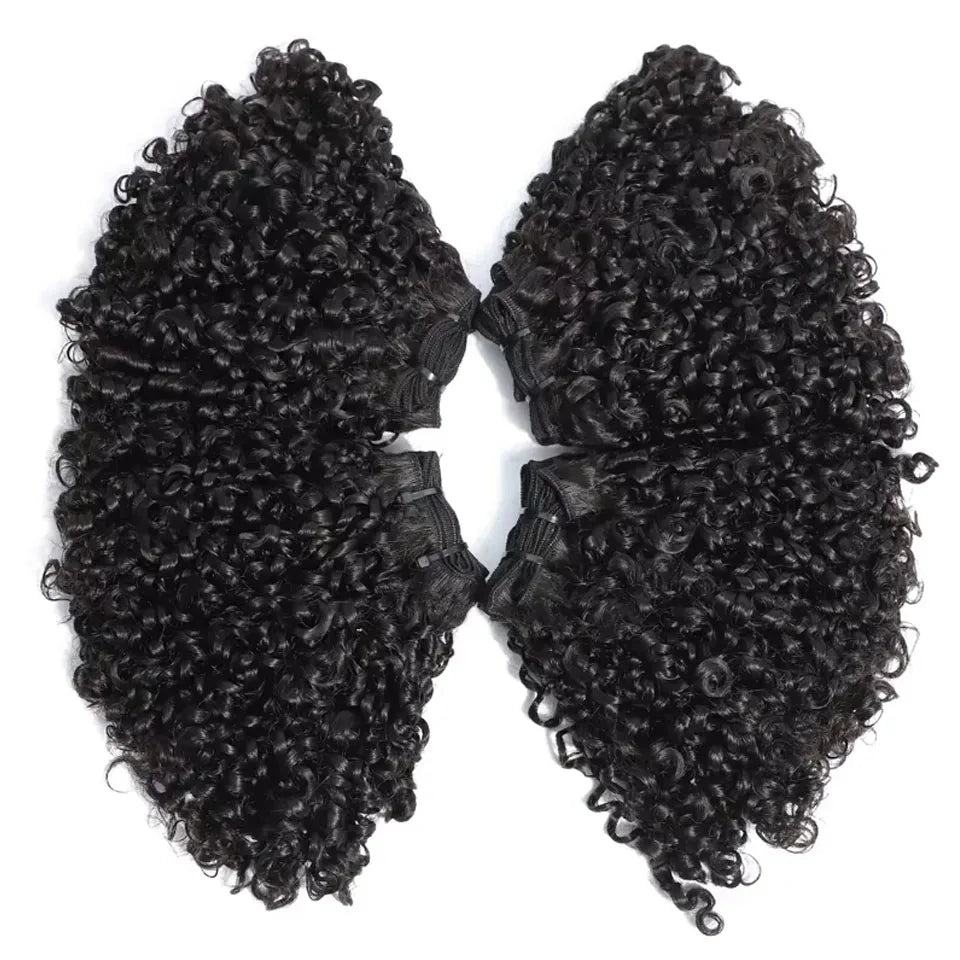 Brazilian Pixie Curly Hair Bundles Virgin Human Hair Weave Natural Color