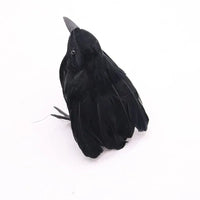 Crow C