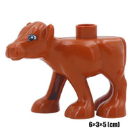 calf B