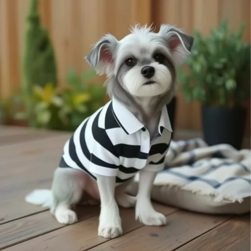 Dog Polo Shirt – Summer T-Shirt for Small & Large Dogs