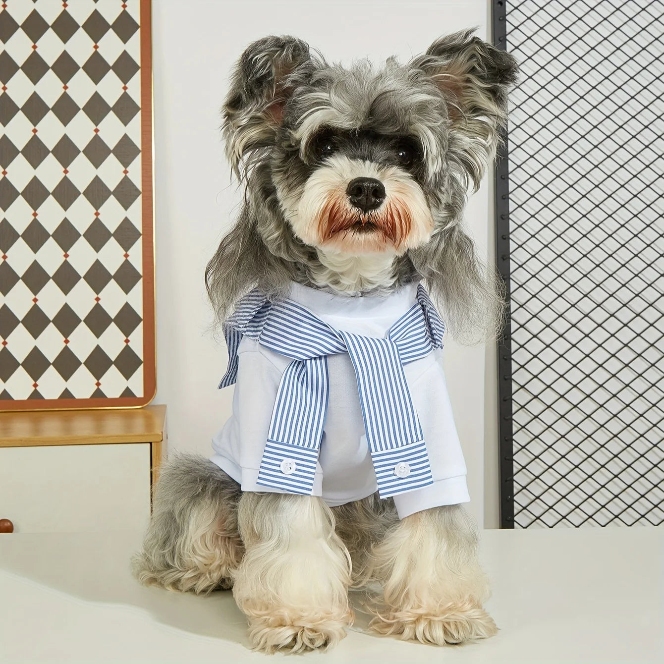 Casual Summer T-Shirt with Striped Scarf for Small & Medium Dogs